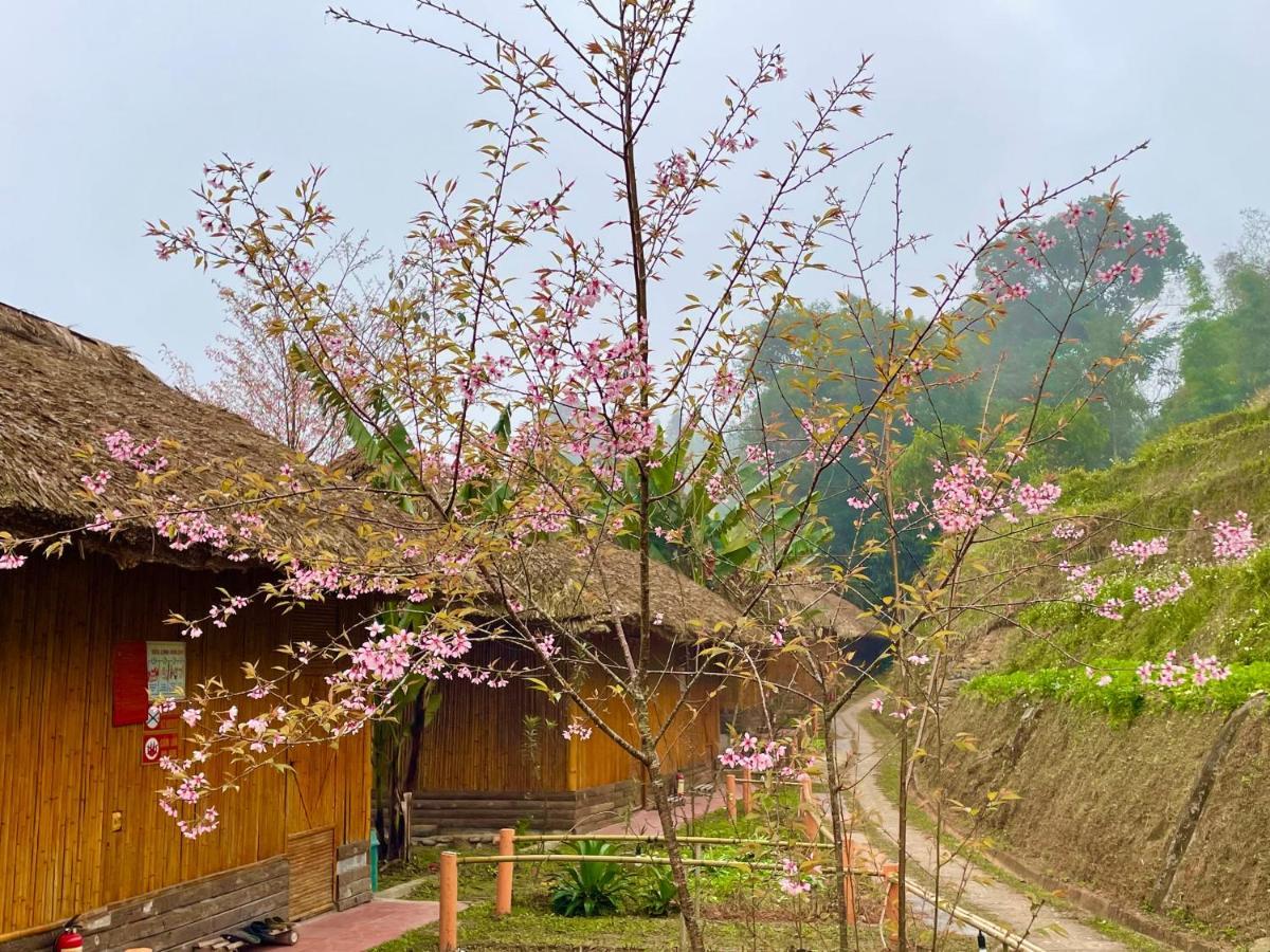 Hoang Su Phi Bungalow Экстерьер фото