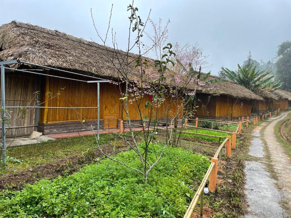 Hoang Su Phi Bungalow Экстерьер фото
